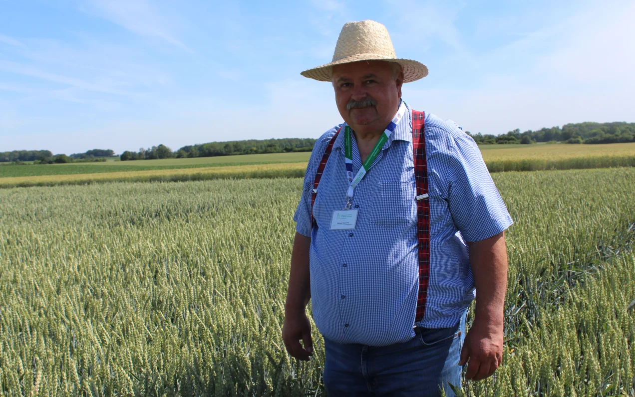 Tutaj kombajny powinny ruszyć najwcześniej. Harmonogram żniw